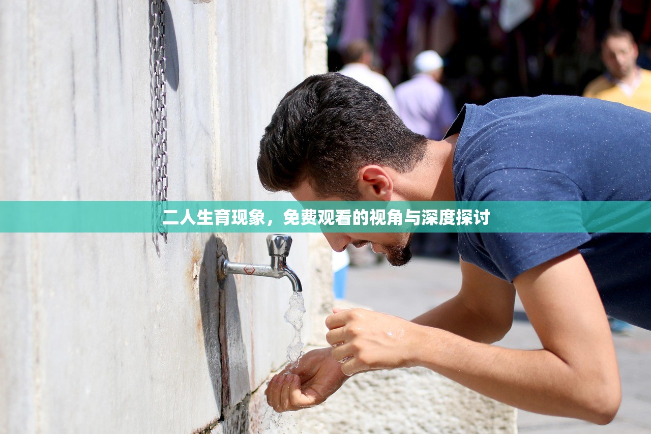 二人生育现象，免费观看的视角与深度探讨