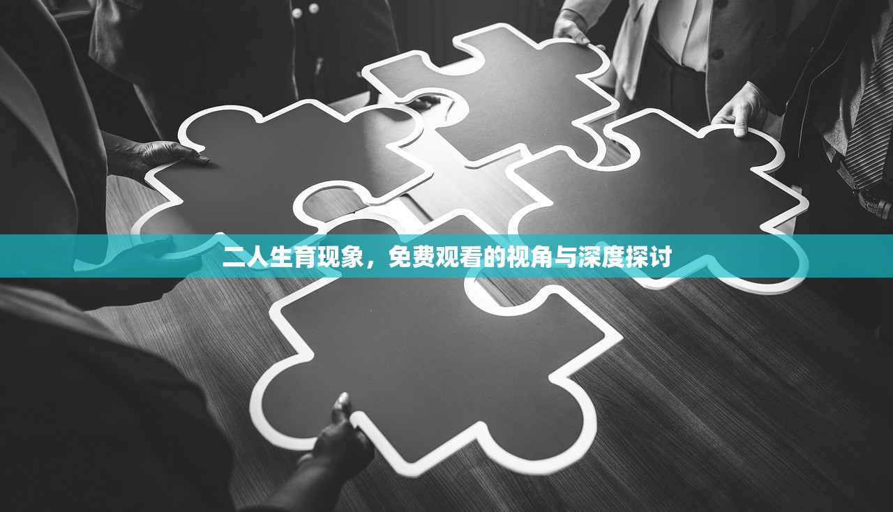 二人生育现象，免费观看的视角与深度探讨