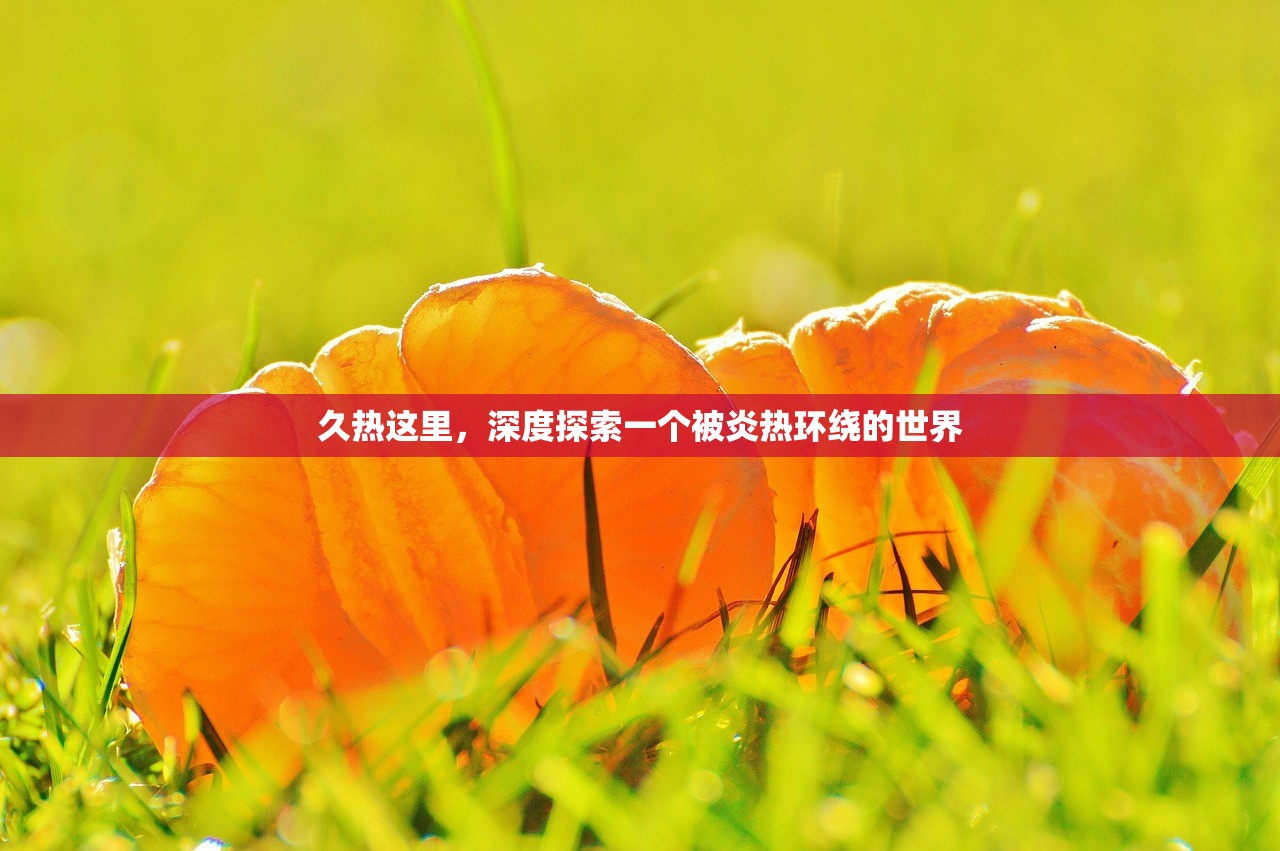 久热这里，深度探索一个被炎热环绕的世界