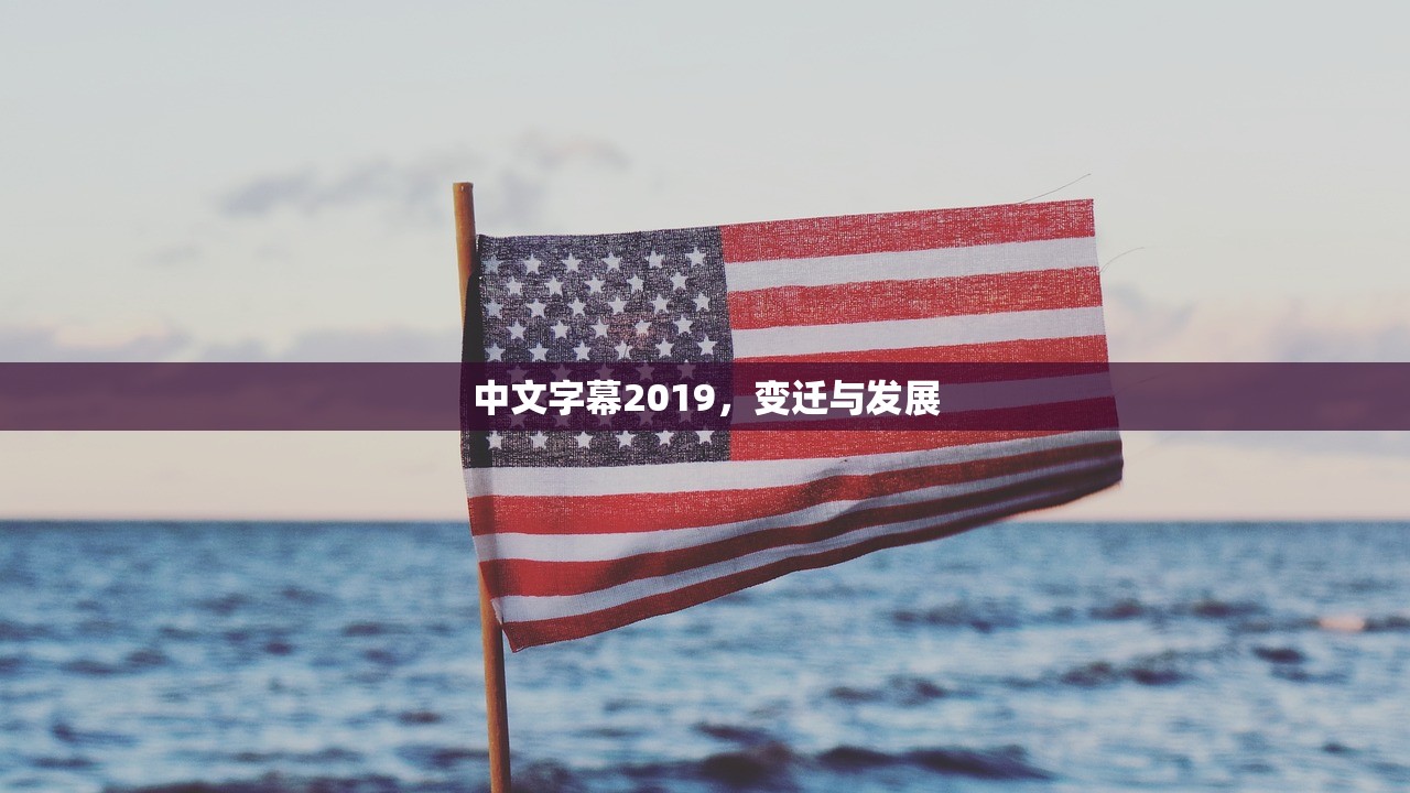 中文字幕2019，变迁与发展