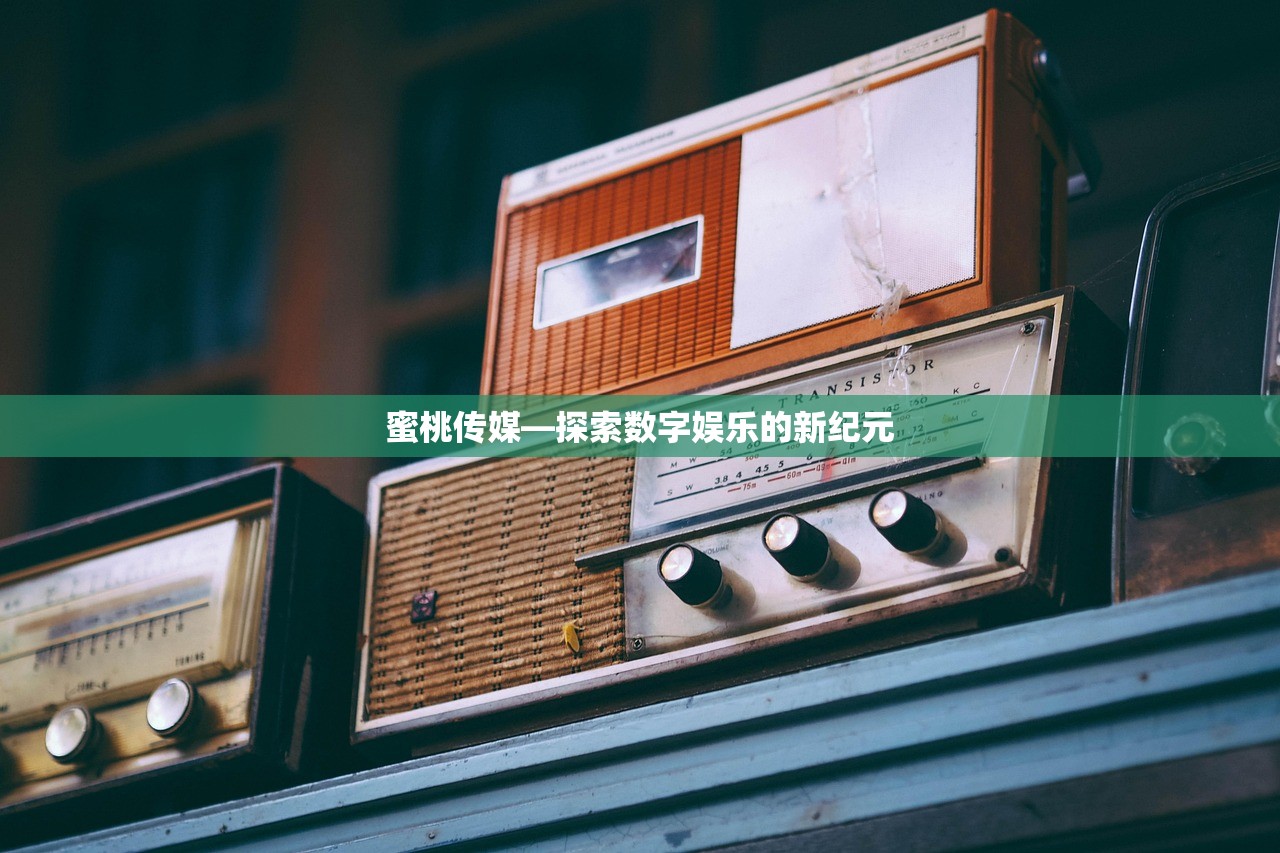 蜜桃传媒—探索数字娱乐的新纪元