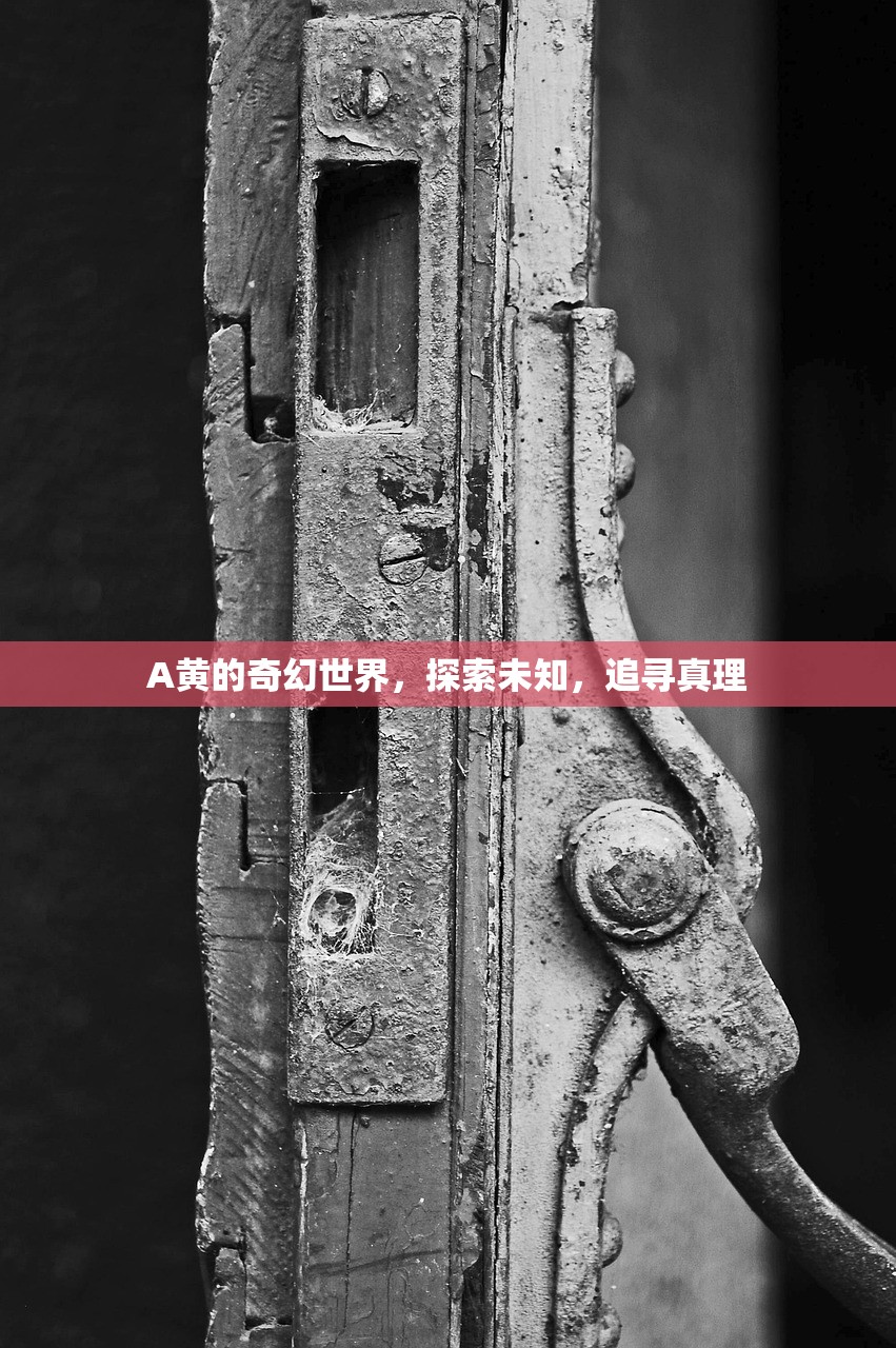 A黄的奇幻世界，探索未知，追寻真理