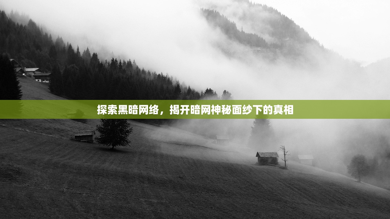 探索黑暗网络，揭开暗网神秘面纱下的真相