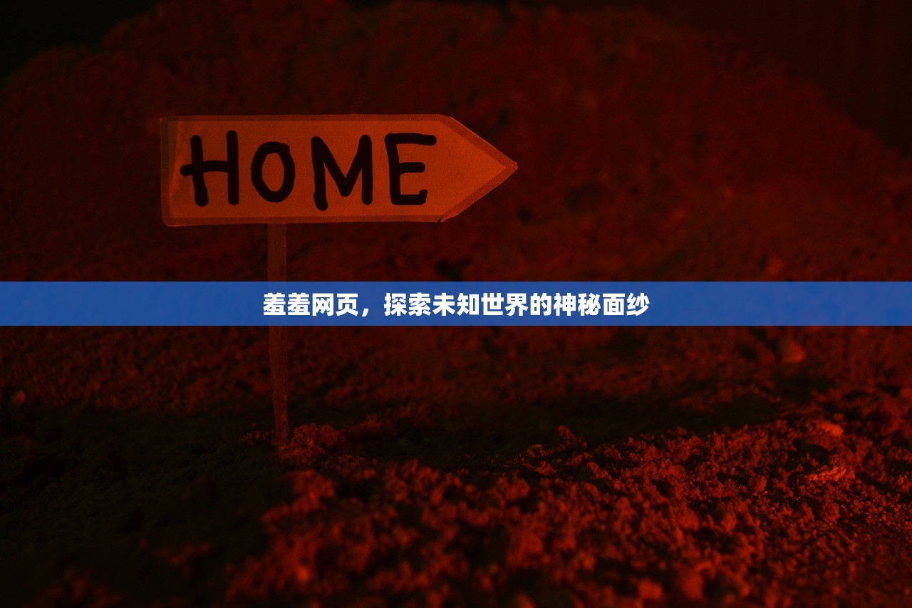 羞羞网页，探索未知世界的神秘面纱