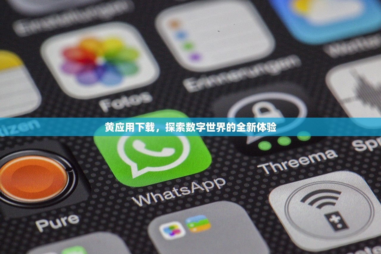 黄应用下载，探索数字世界的全新体验
