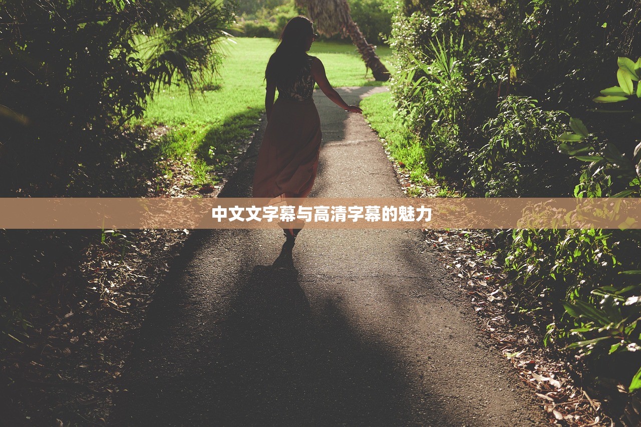 中文文字幕与高清字幕的魅力