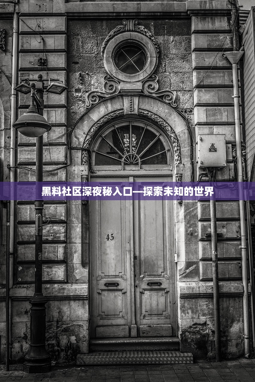 黑料社区深夜秘入口—探索未知的世界