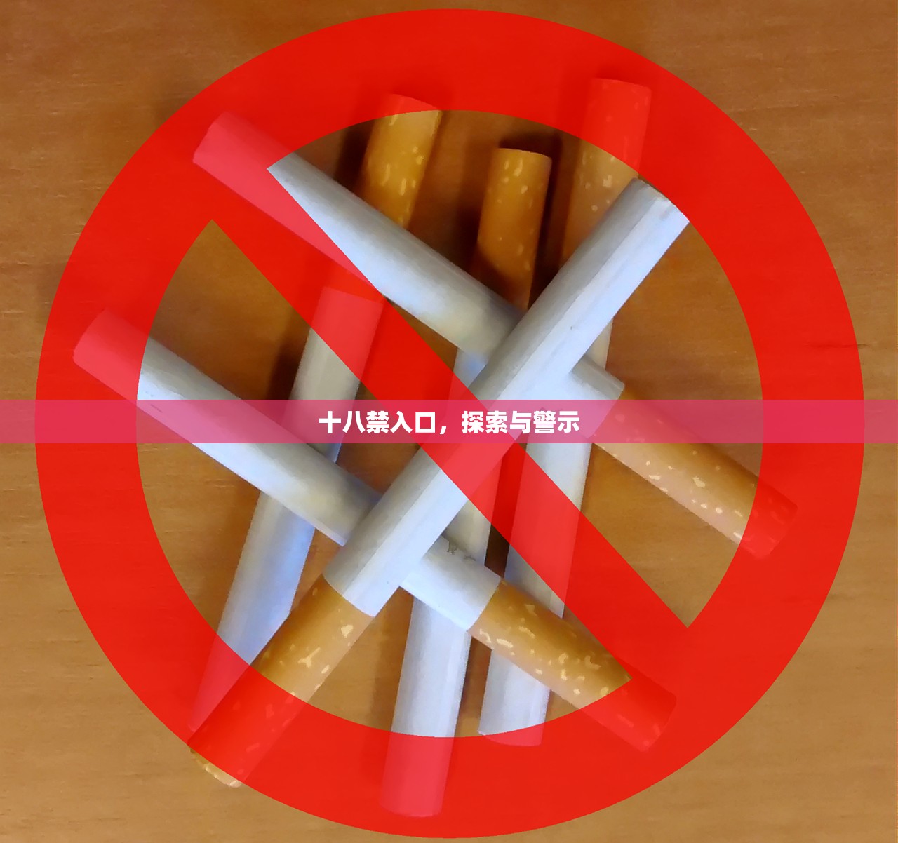 十八禁入口，探索与警示