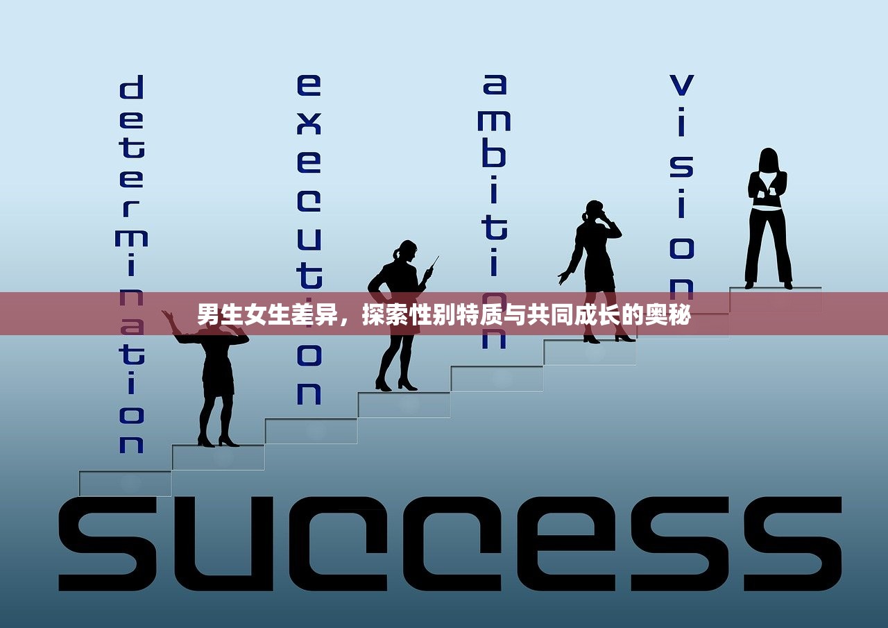 男生女生差异，探索性别特质与共同成长的奥秘