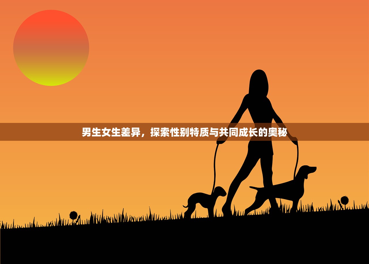 男生女生差异，探索性别特质与共同成长的奥秘