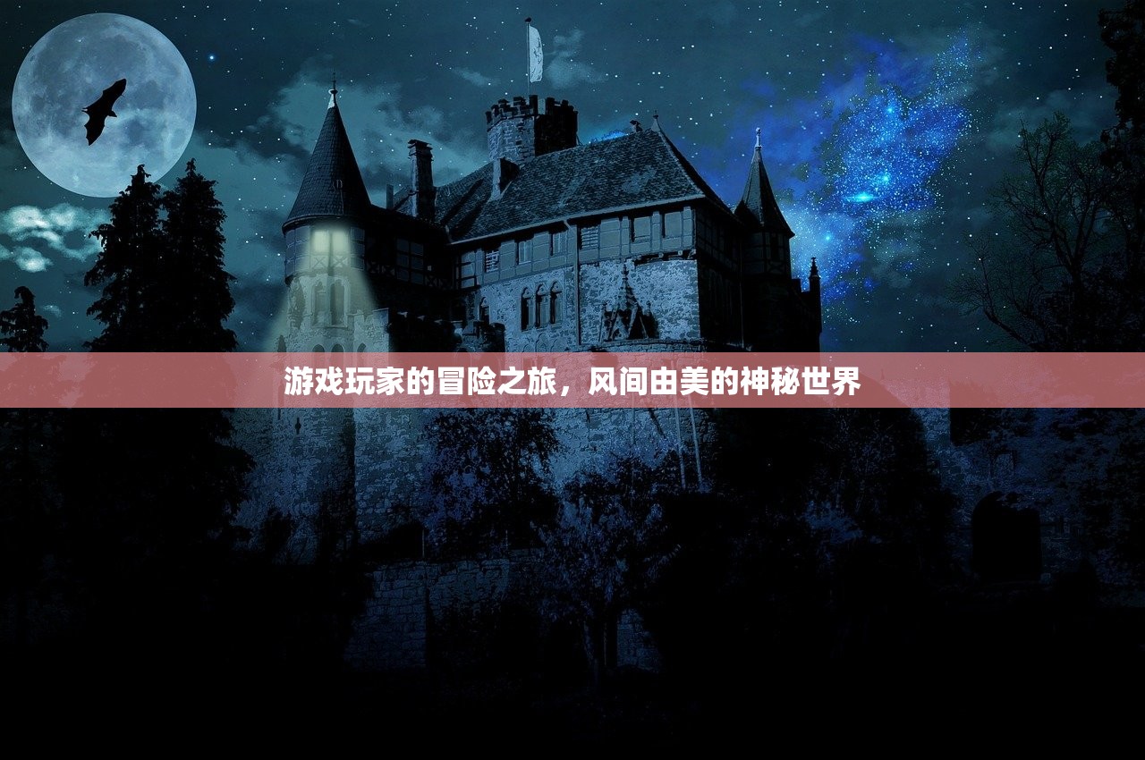 游戏玩家的冒险之旅，风间由美的神秘世界