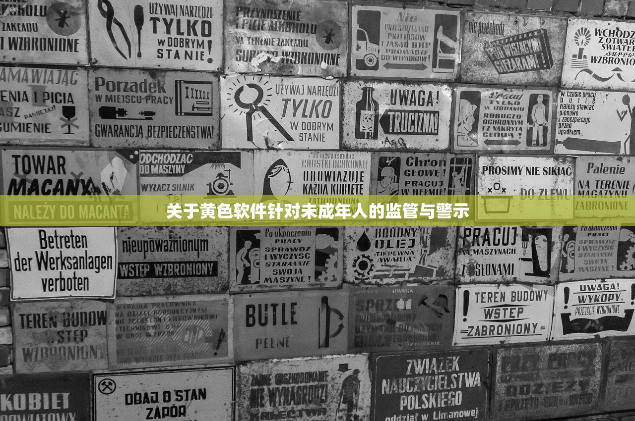 关于黄色软件针对未成年人的监管与警示