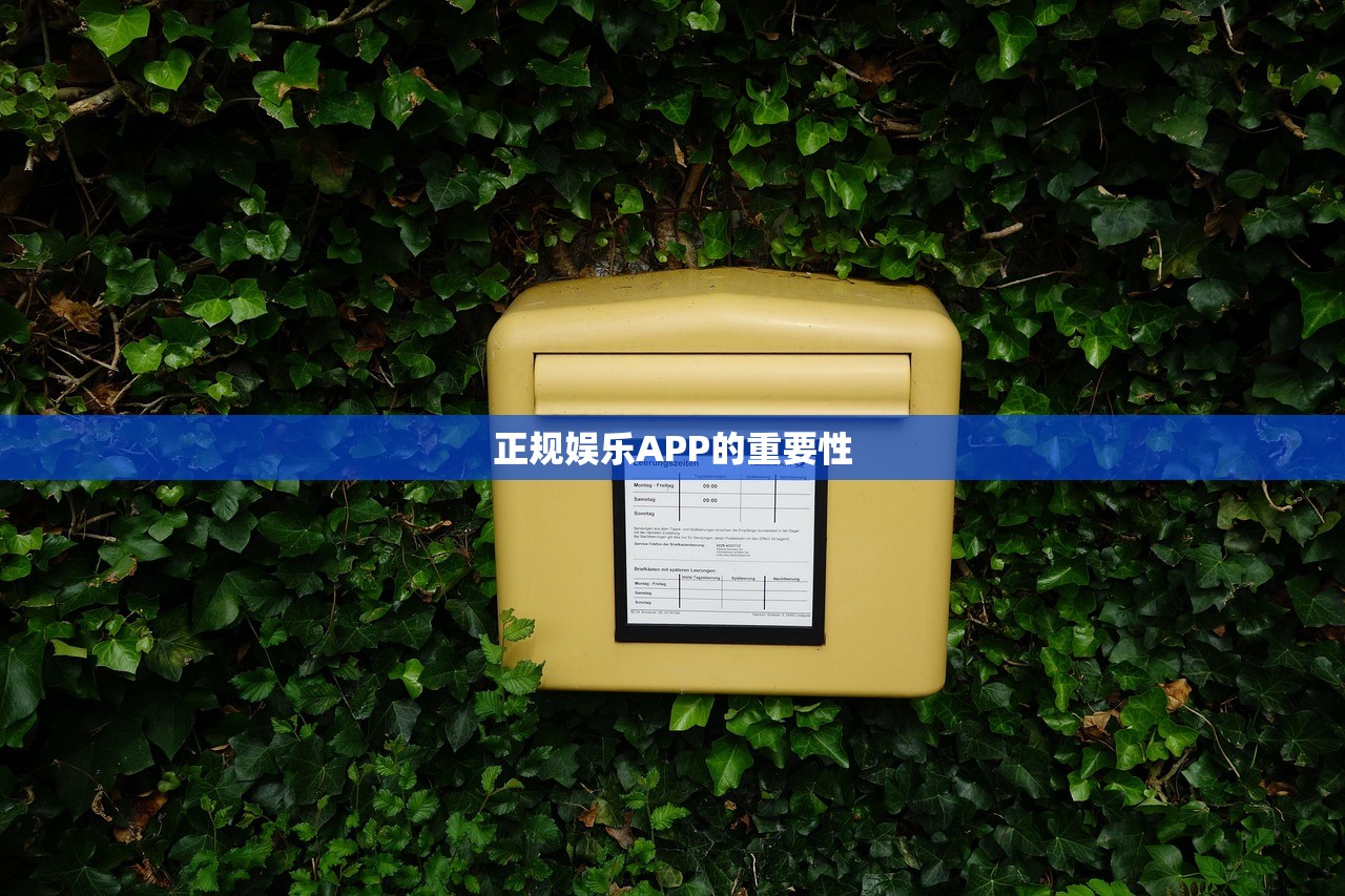 正规娱乐APP的重要性