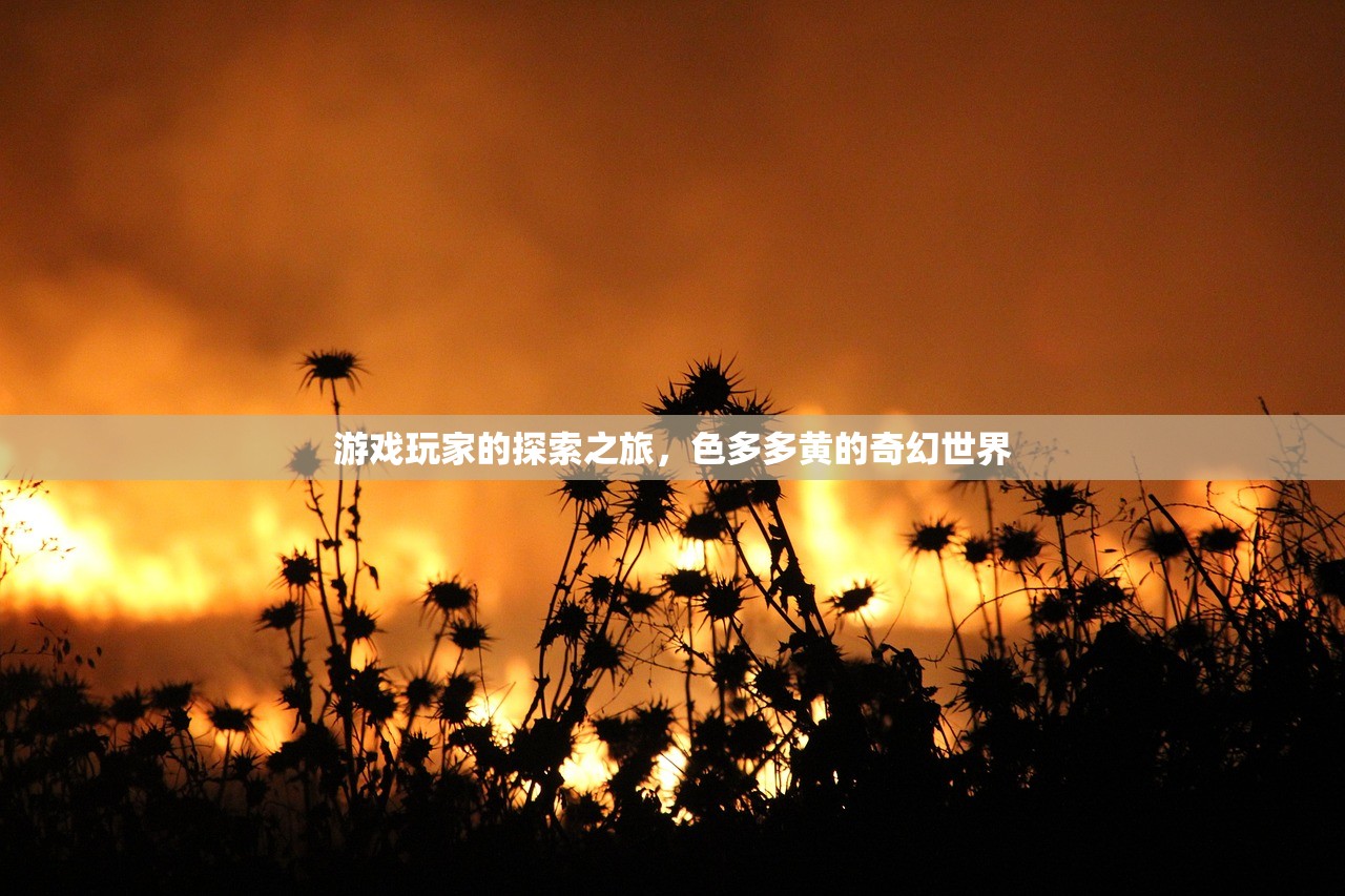 游戏玩家的探索之旅，色多多黄的奇幻世界