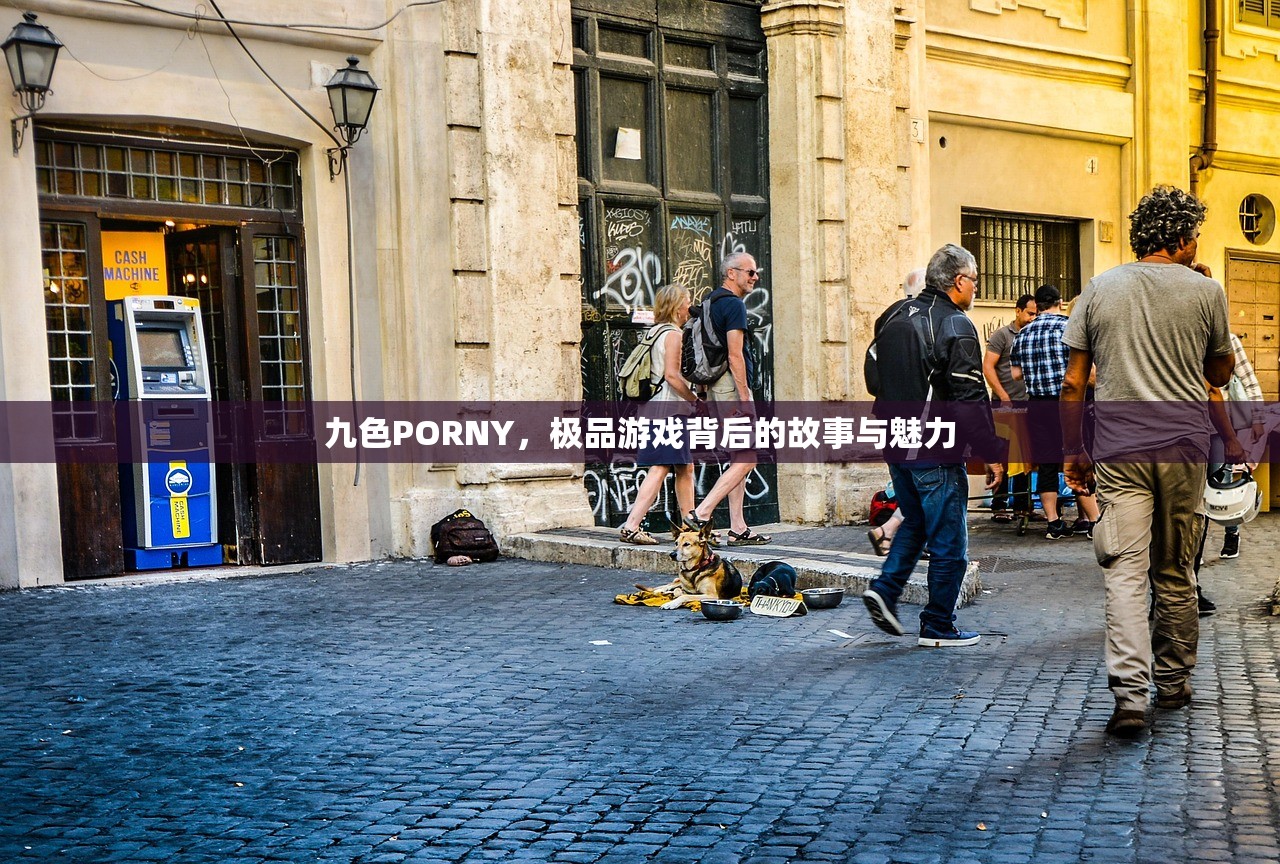 九色PORNY，极品游戏背后的故事与魅力