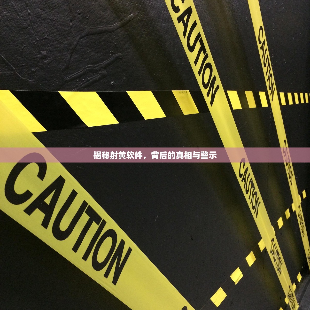 揭秘射黄软件，背后的真相与警示