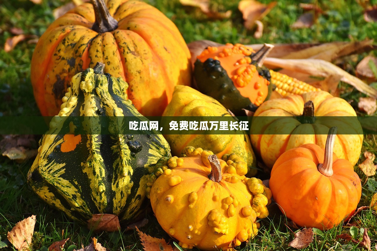 吃瓜网，免费吃瓜万里长征