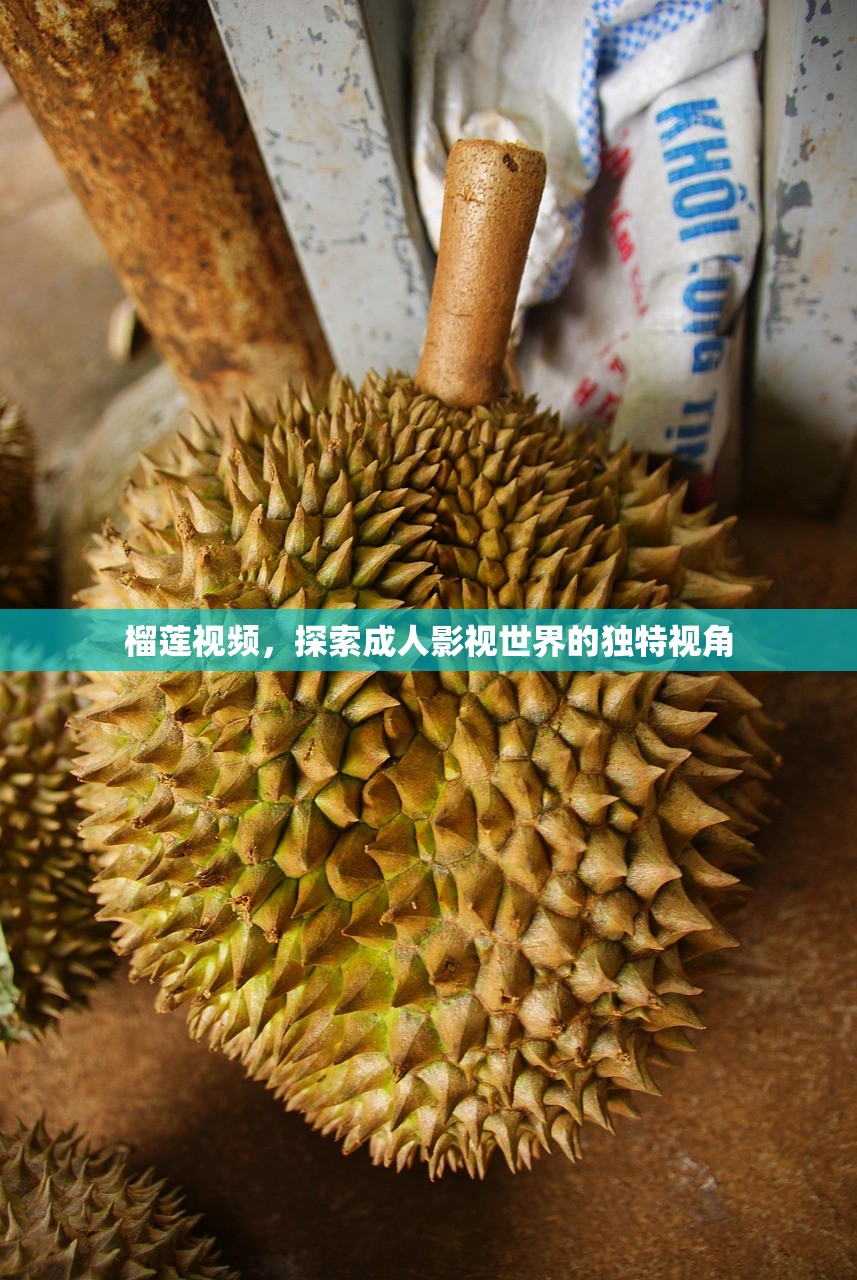 榴莲视频，探索成人影视世界的独特视角