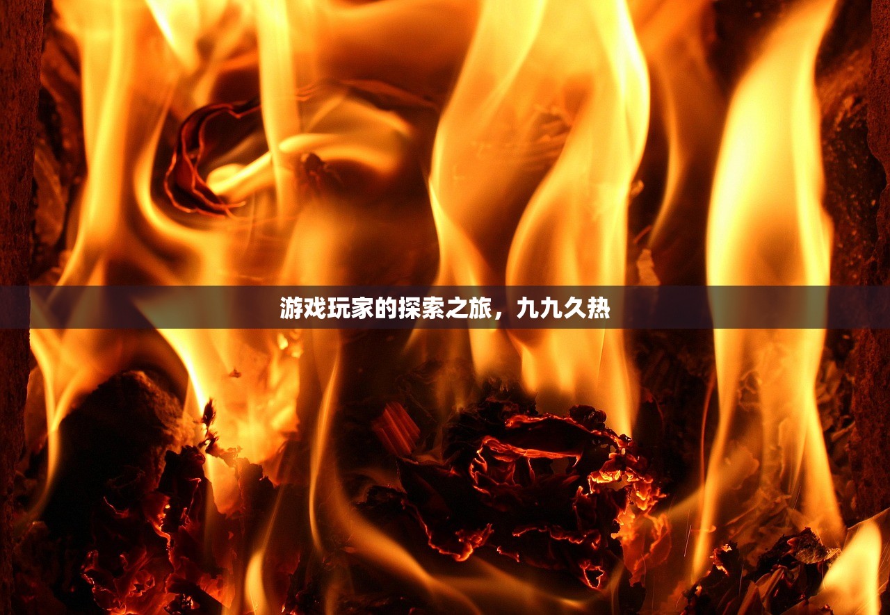游戏玩家的探索之旅，九九久热