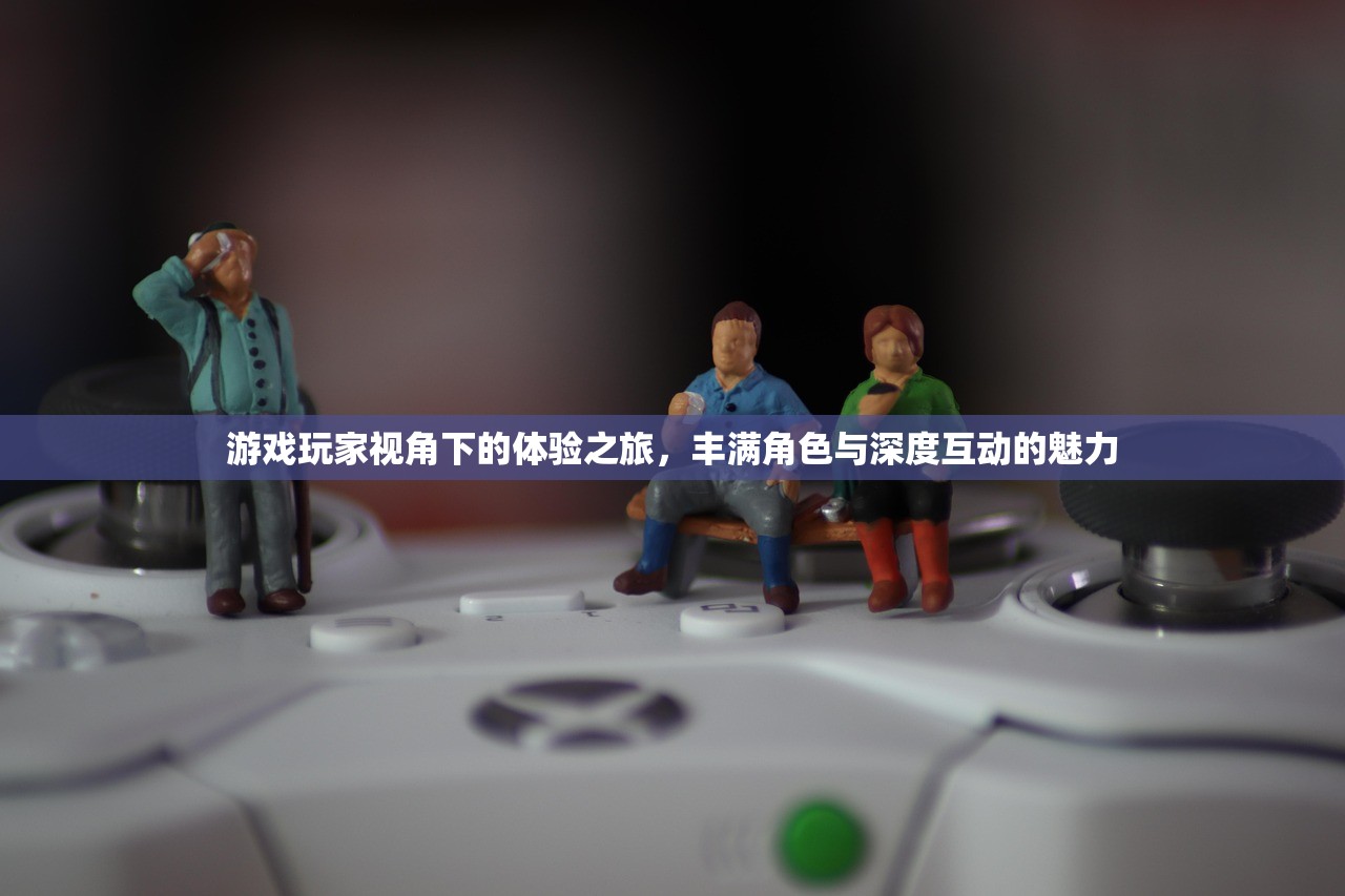 游戏玩家视角下的体验之旅，丰满角色与深度互动的魅力