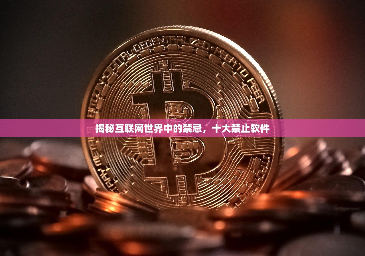 揭秘互联网世界中的禁忌，十大禁止软件