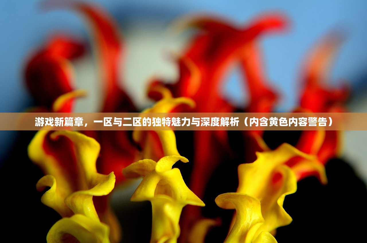 游戏新篇章，一区与二区的独特魅力与深度解析（内含黄色内容警告）