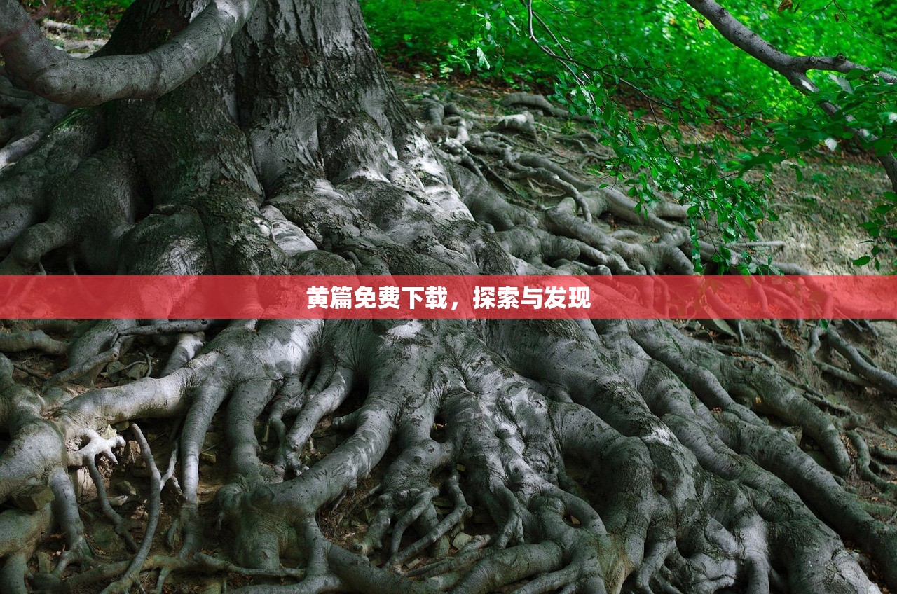 黄篇免费下载，探索与发现