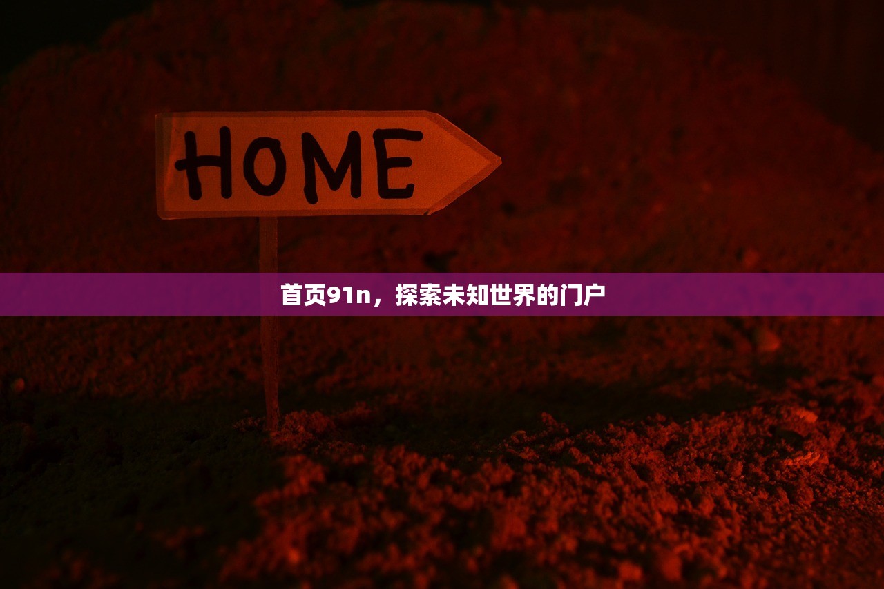 首页91n，探索未知世界的门户