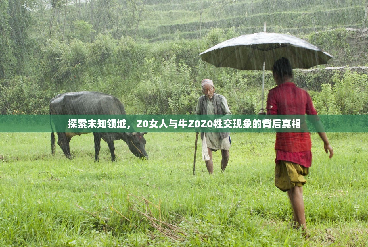 探索未知领域，Z0女人与牛Z0Z0牲交现象的背后真相