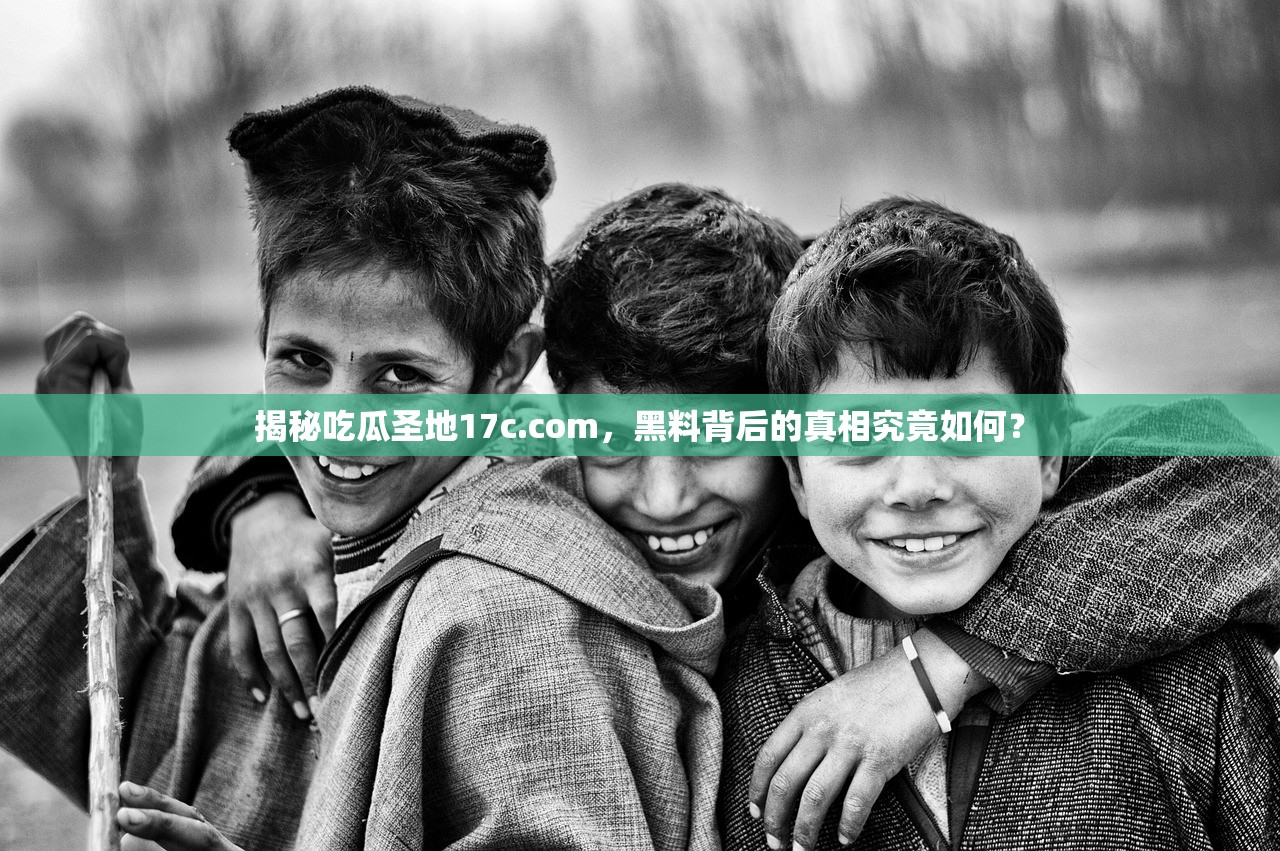 揭秘吃瓜圣地17c.com，黑料背后的真相究竟如何？