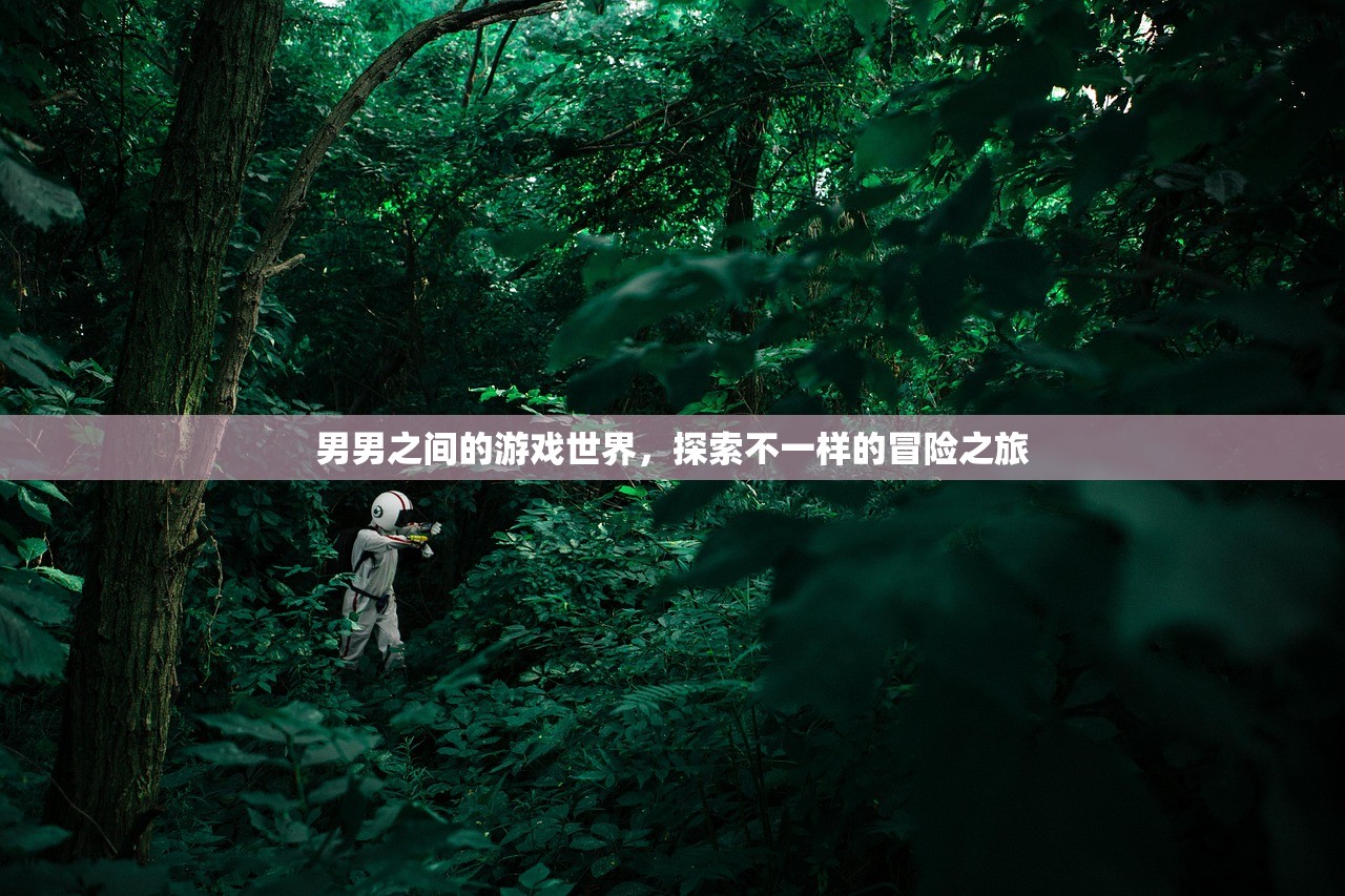 男男之间的游戏世界，探索不一样的冒险之旅
