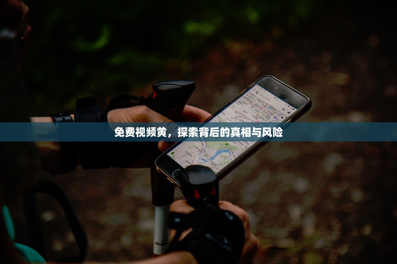 免费视频黄，探索背后的真相与风险