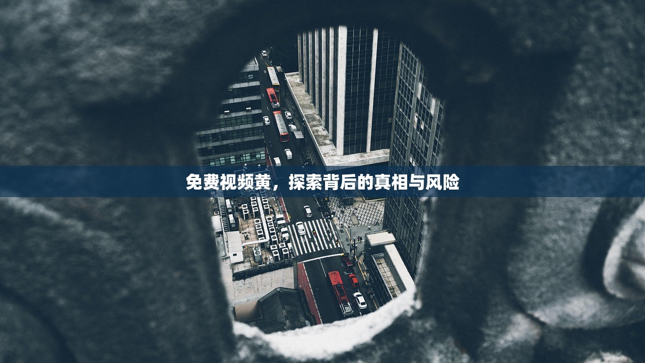 免费视频黄，探索背后的真相与风险