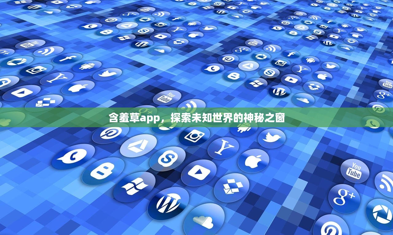 含羞草app，探索未知世界的神秘之窗