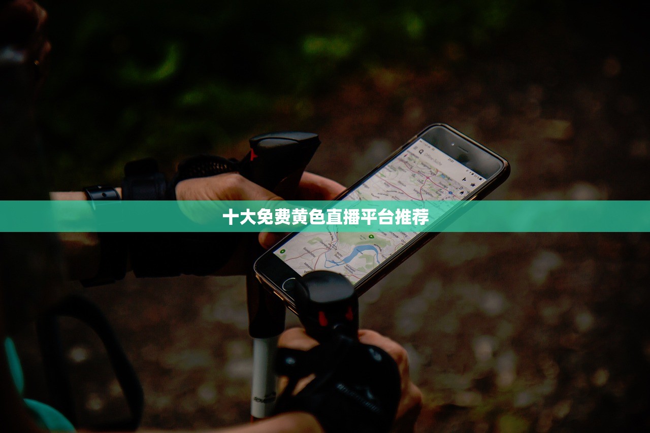 十大免费黄色直播平台推荐