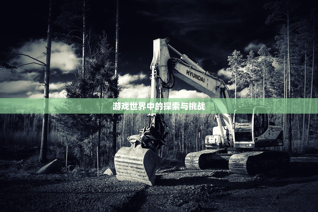 游戏世界中的探索与挑战