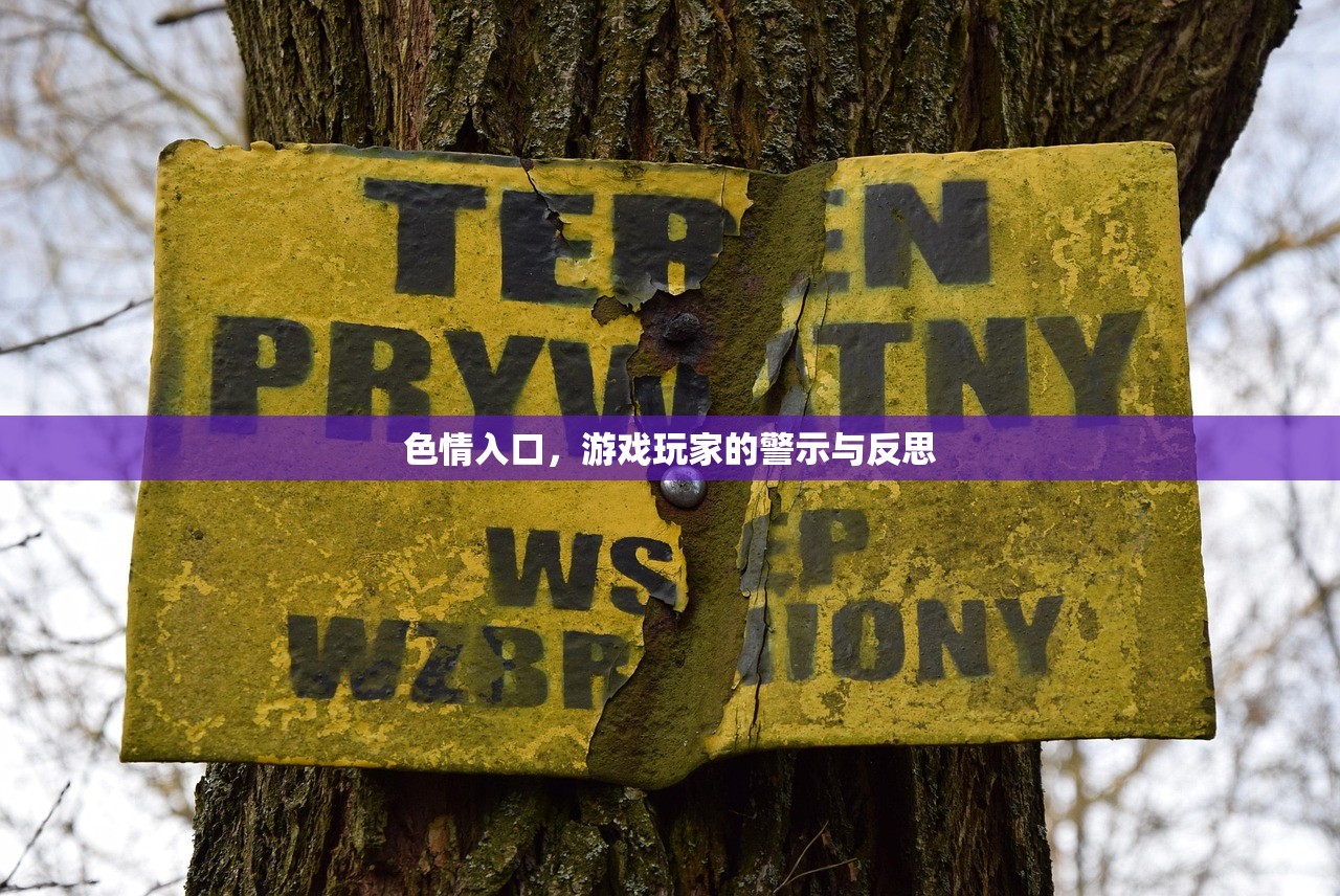 色情入口，游戏玩家的警示与反思