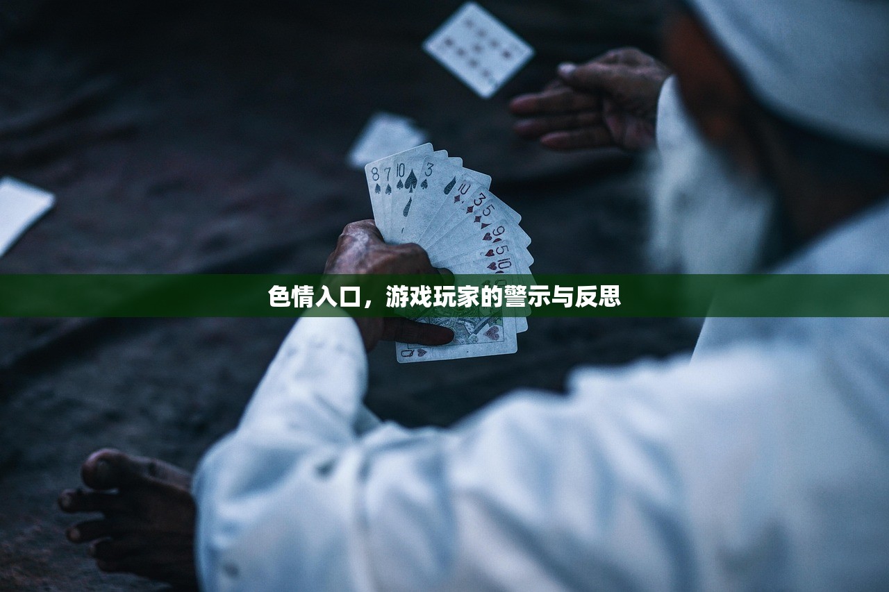 色情入口，游戏玩家的警示与反思