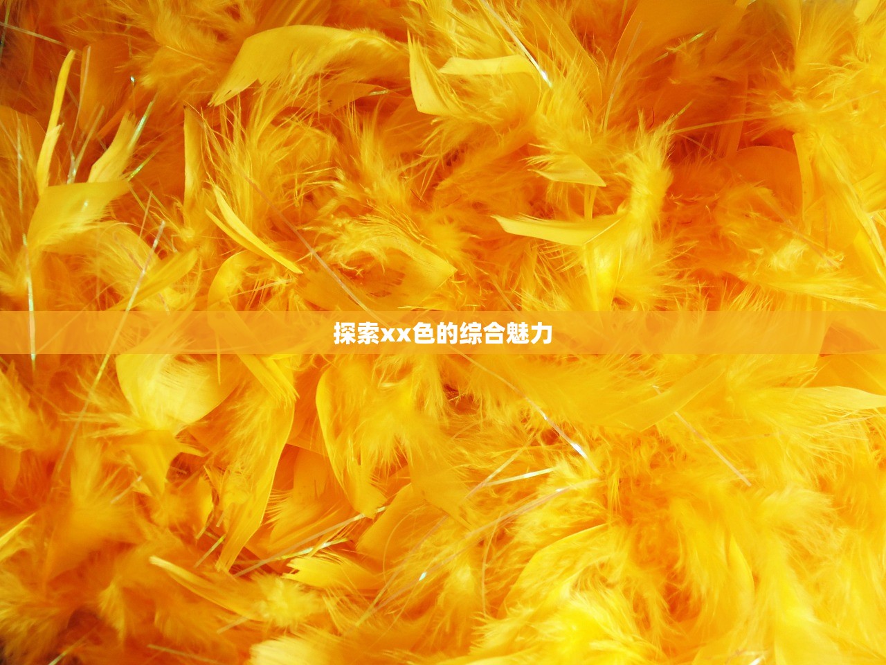 探索xx色的综合魅力