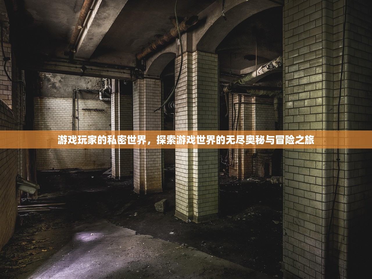 游戏玩家的私密世界，探索游戏世界的无尽奥秘与冒险之旅