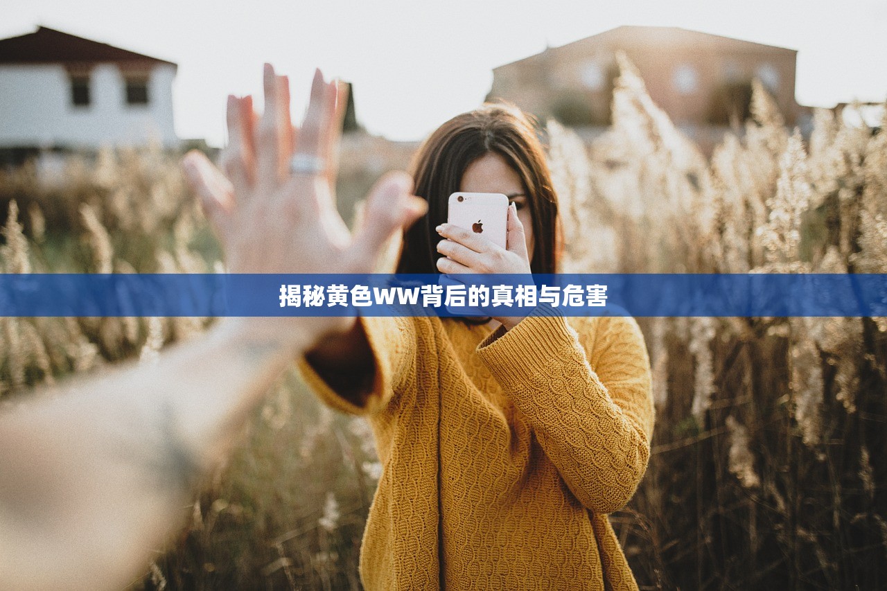 揭秘黄色WW背后的真相与危害