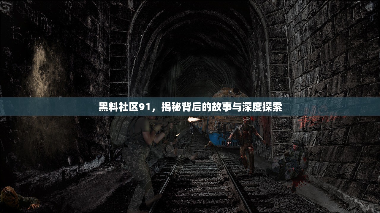 黑料社区91，揭秘背后的故事与深度探索