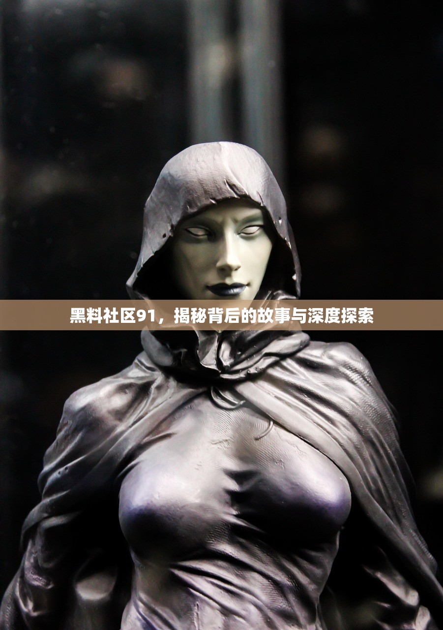 黑料社区91，揭秘背后的故事与深度探索