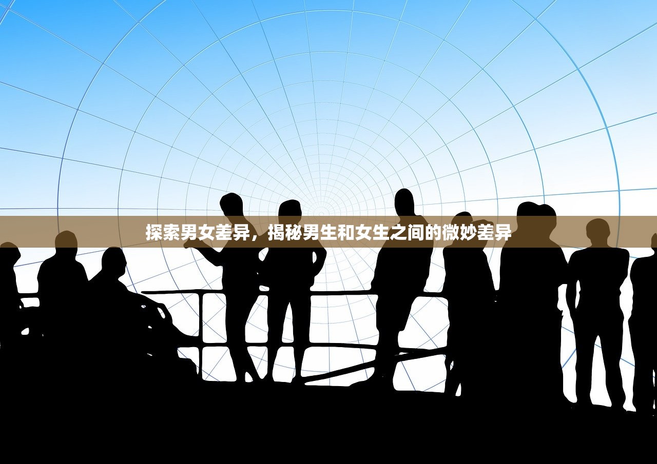 探索男女差异，揭秘男生和女生之间的微妙差异