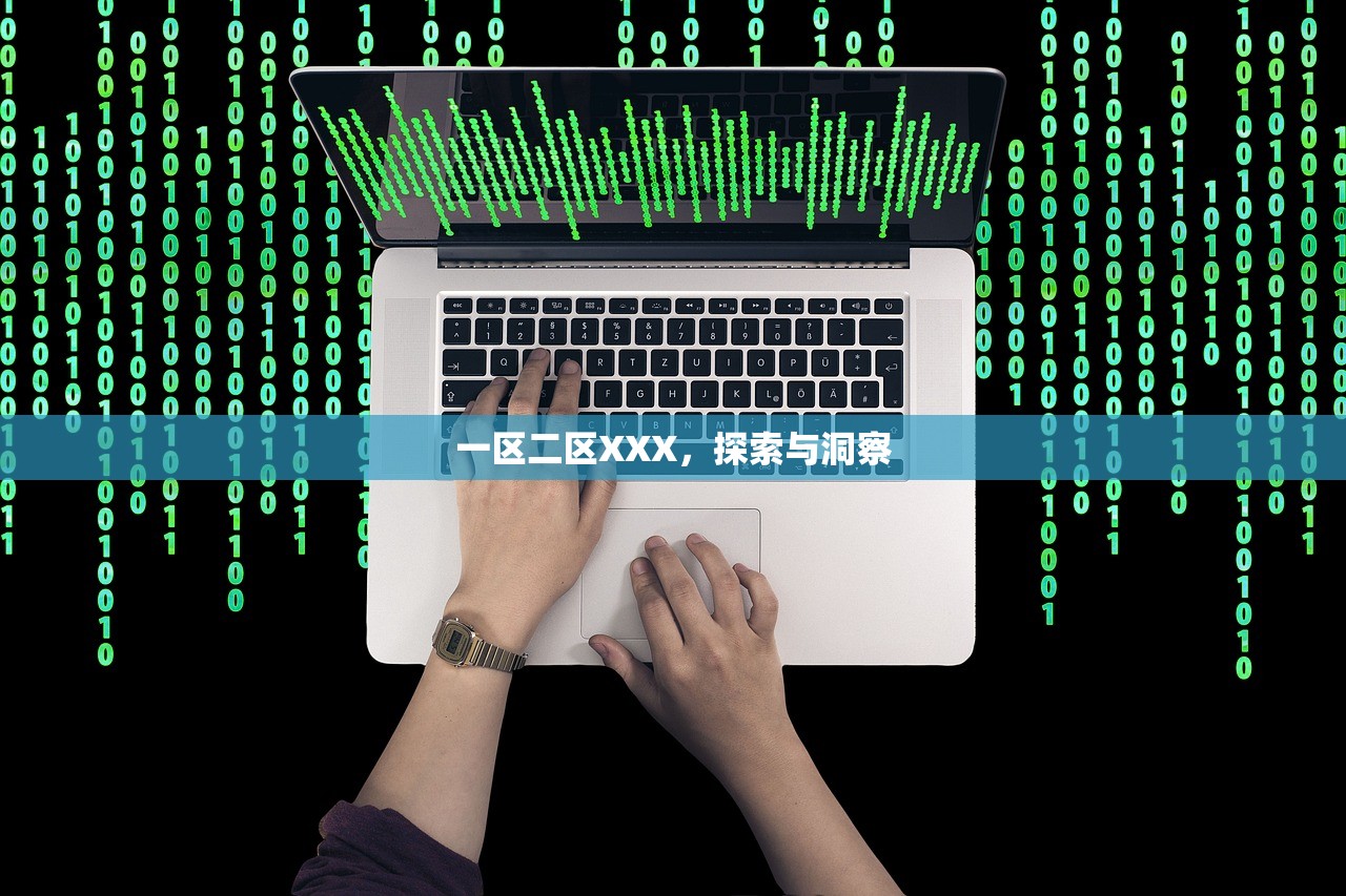 一区二区XXX，探索与洞察