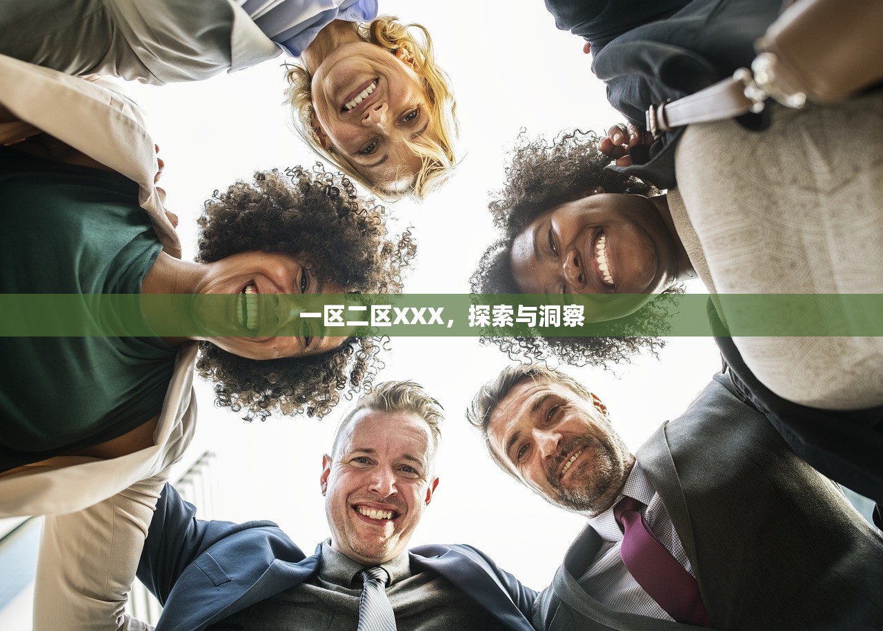一区二区XXX，探索与洞察