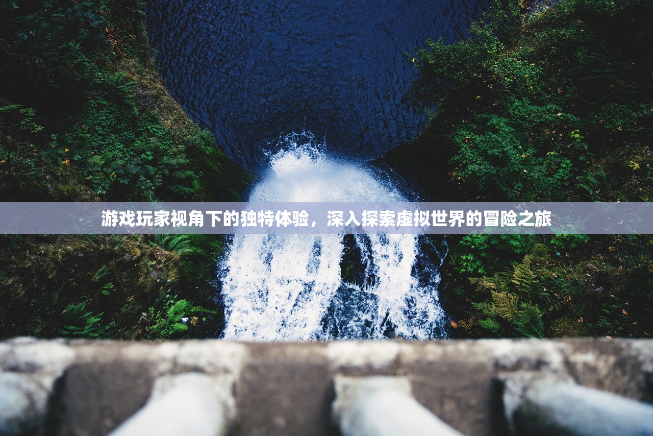 游戏玩家视角下的独特体验，深入探索虚拟世界的冒险之旅
