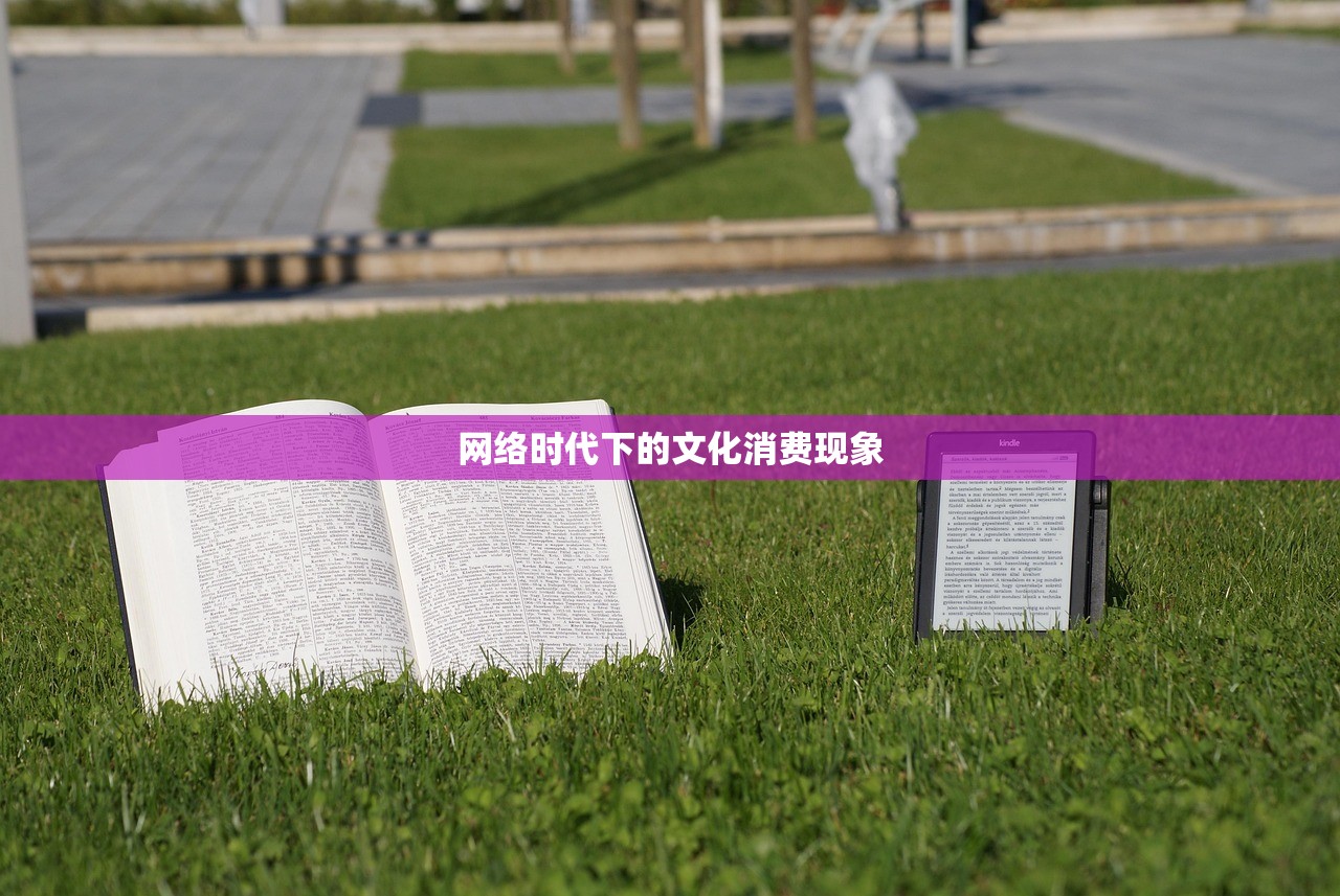 网络时代下的文化消费现象
