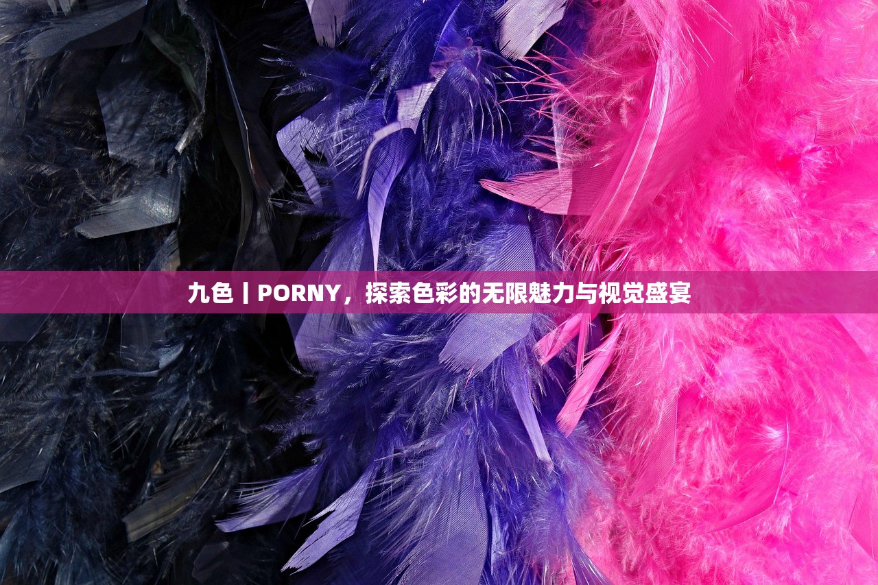 九色丨PORNY，探索色彩的无限魅力与视觉盛宴