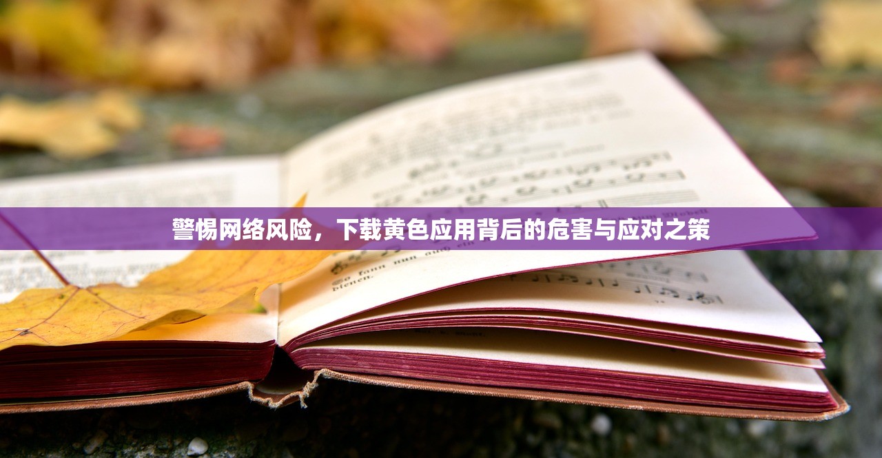 警惕网络风险，下载黄色应用背后的危害与应对之策
